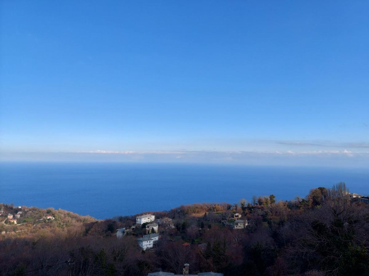 Θαλλώ Luxurious Villa Tsagkarada Exterior foto